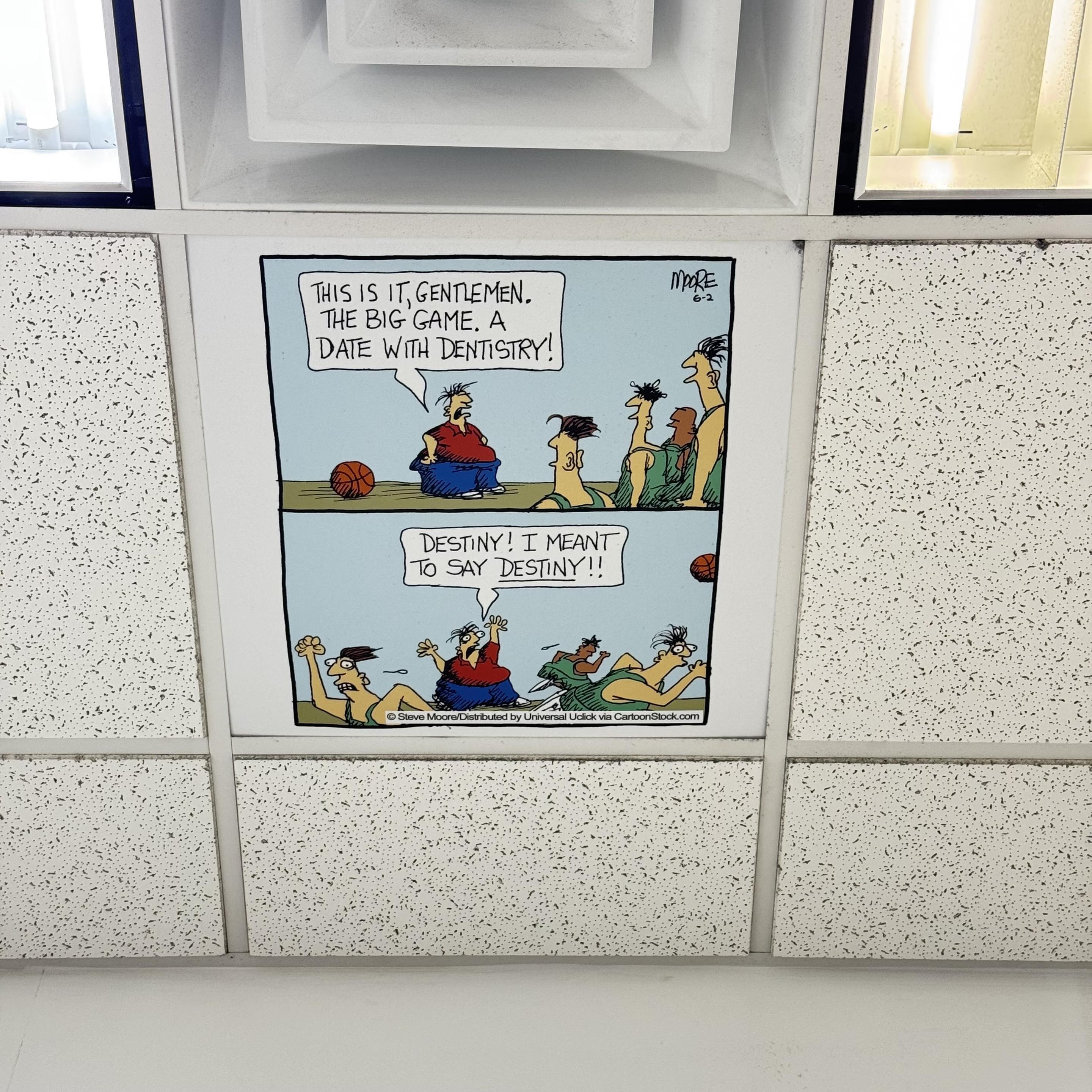 Mastodon media attachment