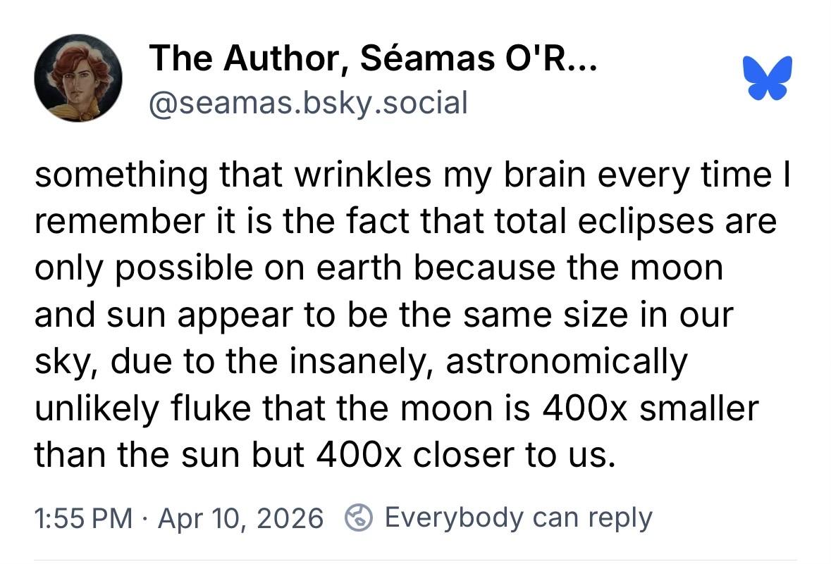 Mastodon media attachment